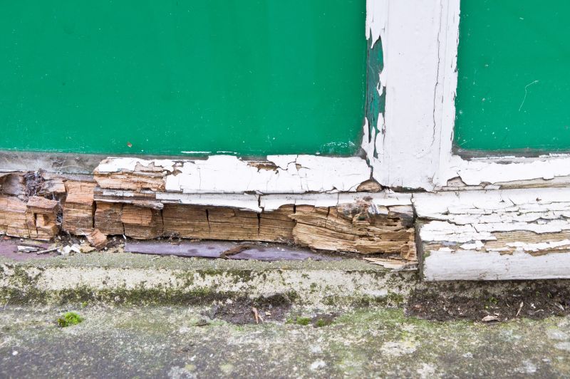 Woodpecker Siding Repair