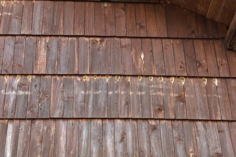 Woodpecker Siding Repair