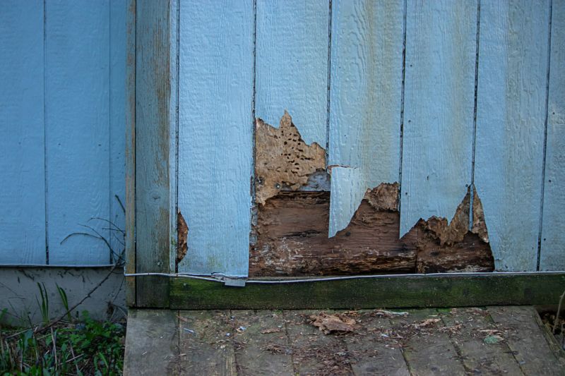 Woodpecker Siding Repair Cost — Cost of Woodpecker Siding Repair