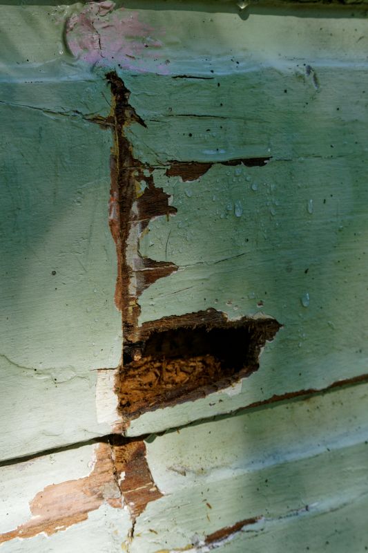 Woodpecker Siding Repair Cost — Cost of Woodpecker Siding Repair
