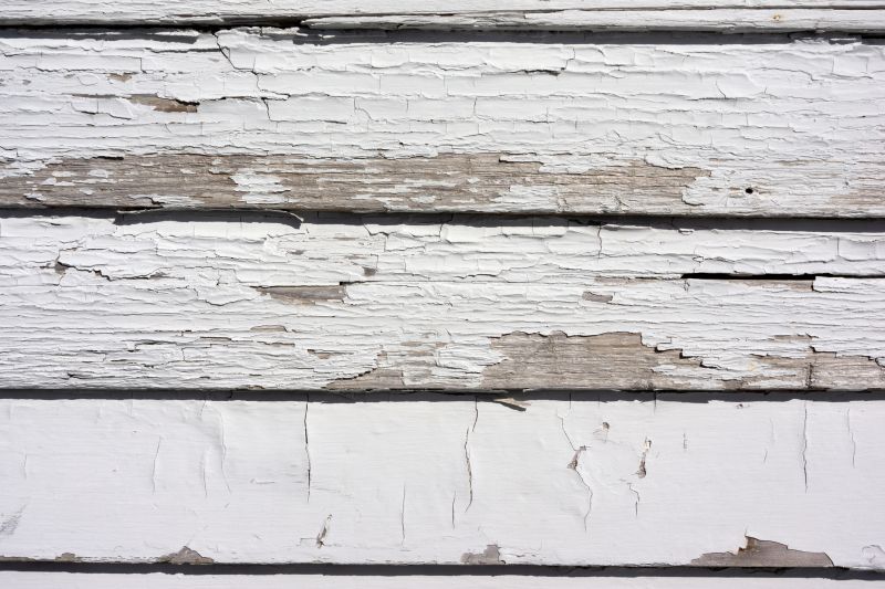 Woodpecker Siding Repair